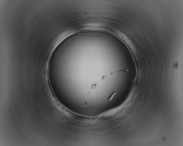 X0000102531386200808081441
