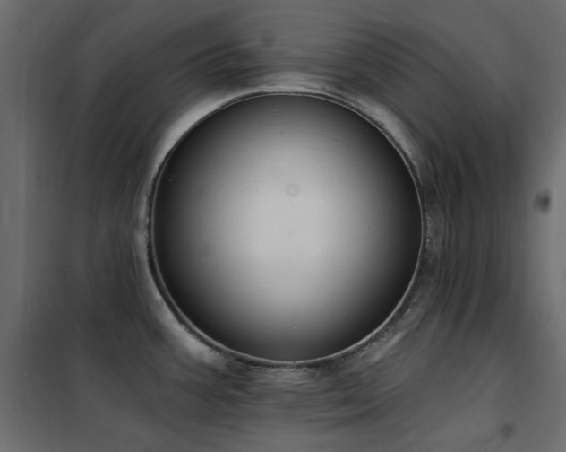 X0000102531387200808081441