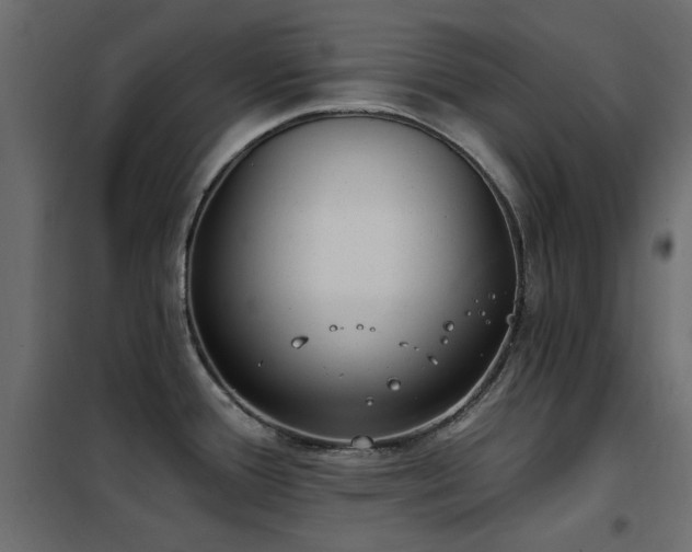 X0000102531388200808081441