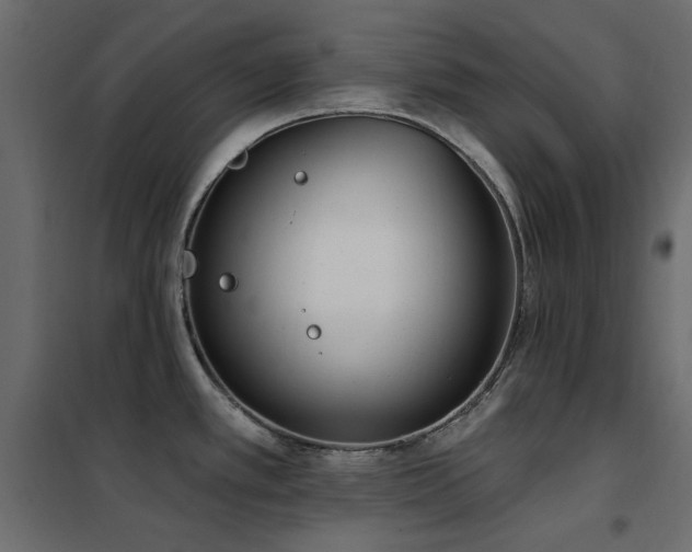 X0000102531389200808081441