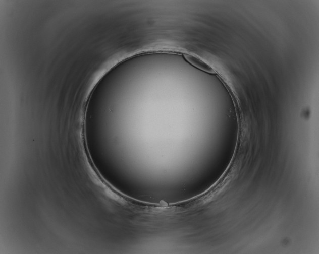 X0000102531390200808081441