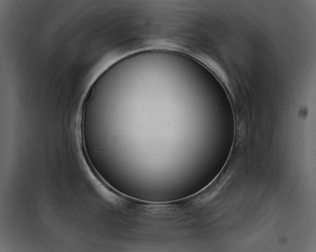 X0000102531391200808081441