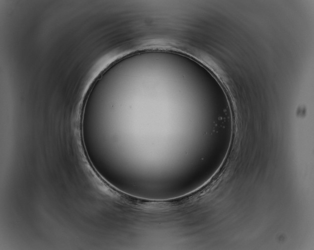 X0000102531392200808081441