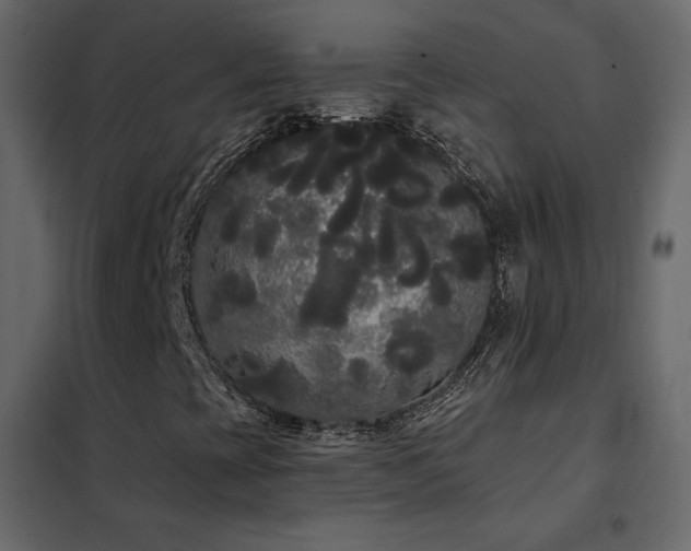 X0000102531393200808081440