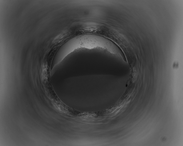 X0000102531394200808081440