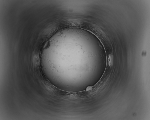 X0000102531395200808081440