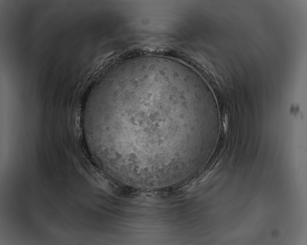X0000102531396200808081440