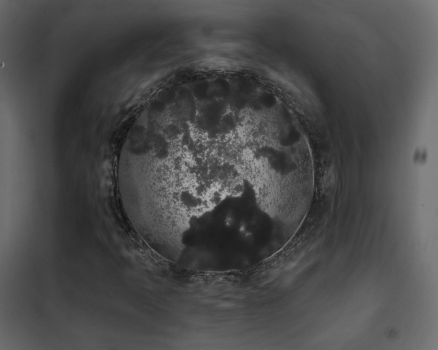 X0000102531397200808081440