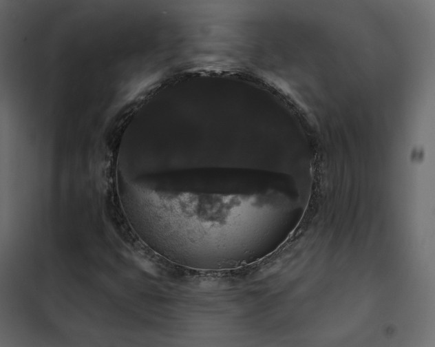 X0000102531399200808081440