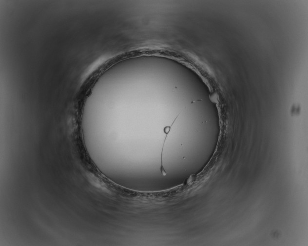 X0000102531400200808081440