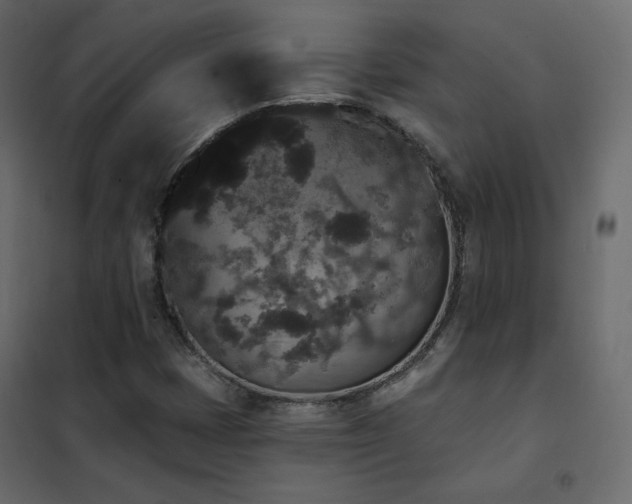 X0000102531401200808081440