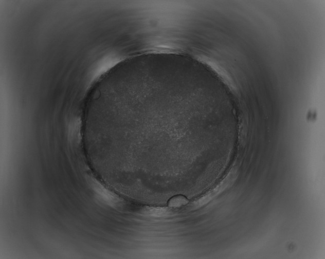 X0000102531402200808081440