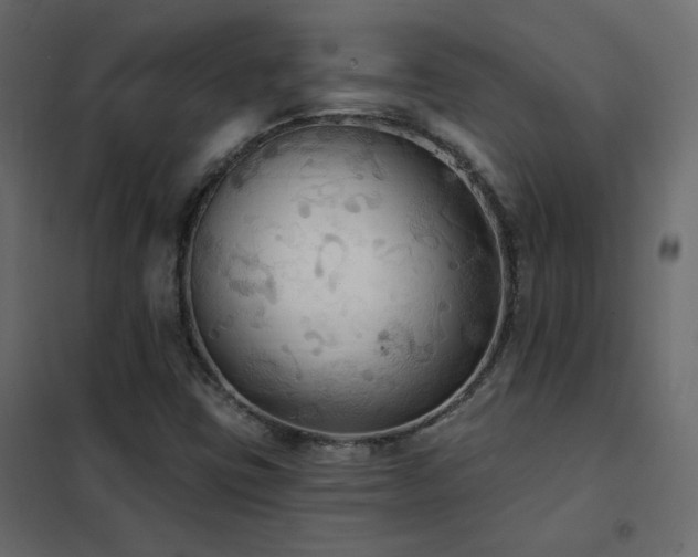 X0000102531403200808081440