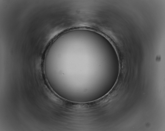 X0000102531404200808081440