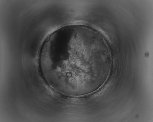 X0000102531405200808081440