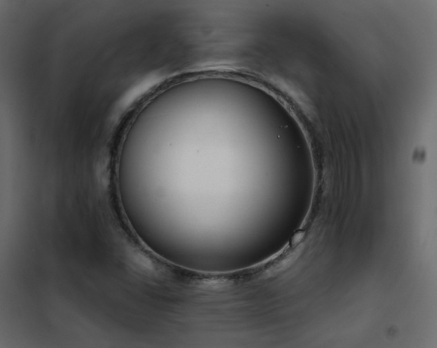 X0000102531406200808081440