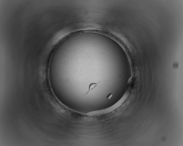 X0000102531407200808081440