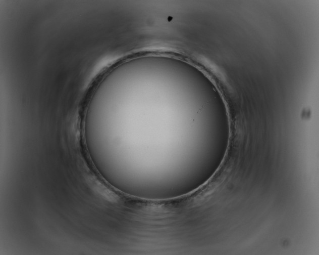 X0000102531408200808081440