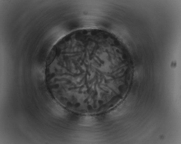 X0000102531409200808081440