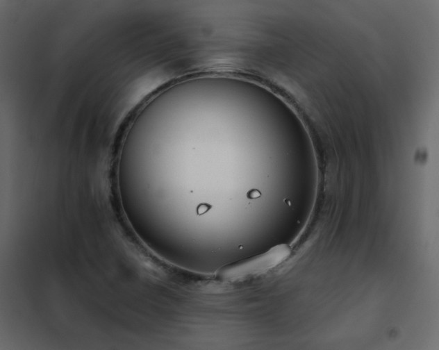 X0000102531410200808081440