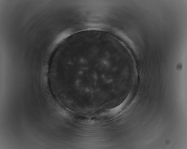 X0000102531411200808081440