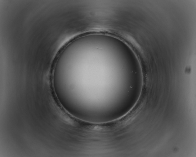 X0000102531412200808081440