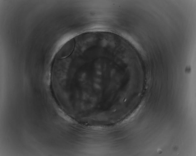 X0000102531413200808081440