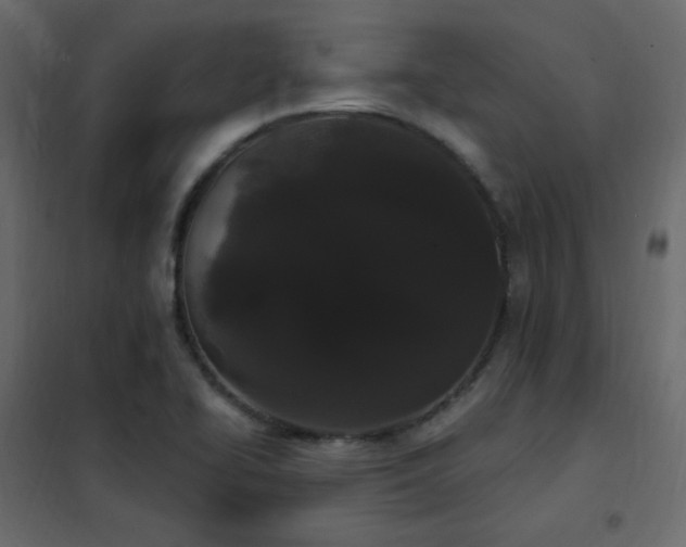X0000102531414200808081440