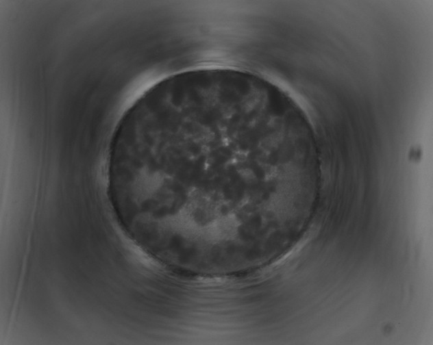 X0000102531415200808081440