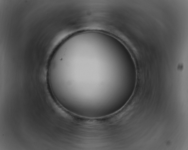 X0000102531416200808081440