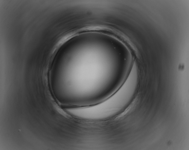 X0000102531417200808081440