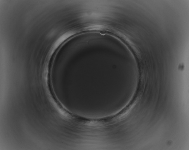 X0000102531418200808081440