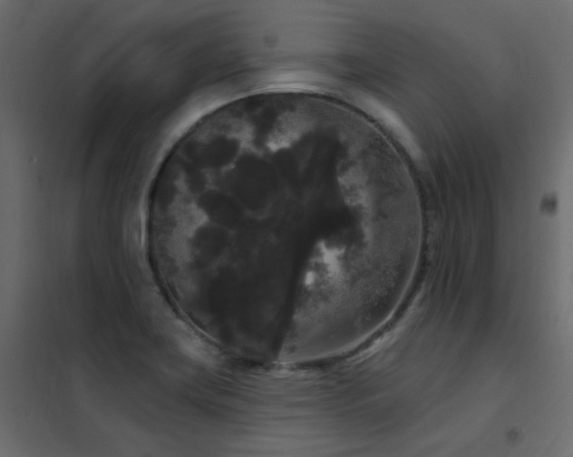 X0000102531419200808081440