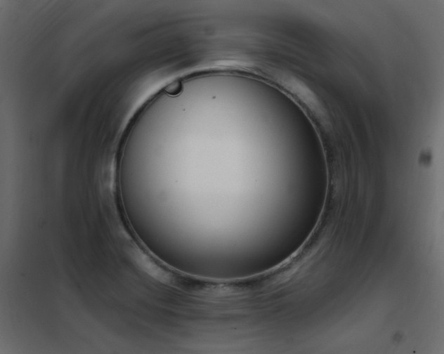 X0000102531420200808081440