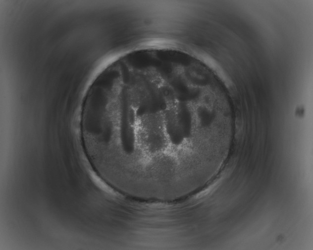 X0000102531421200808081440
