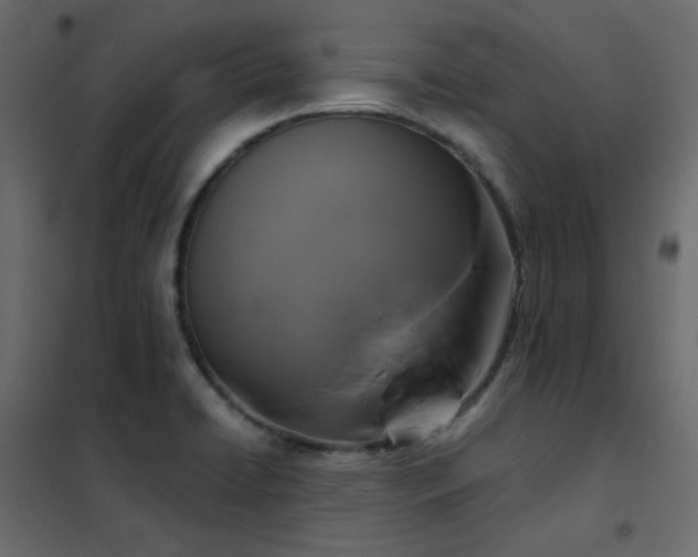 X0000102531422200808081440