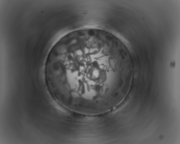 X0000102531423200808081440