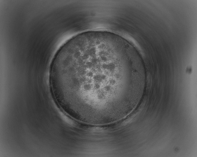 X0000102531424200808081440