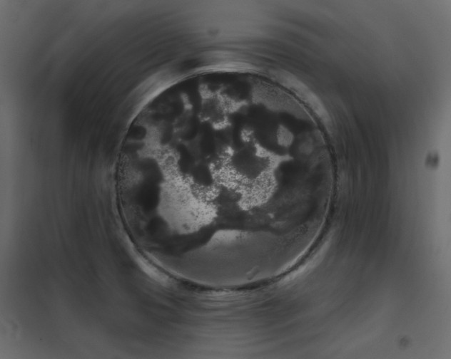 X0000102531425200808081440