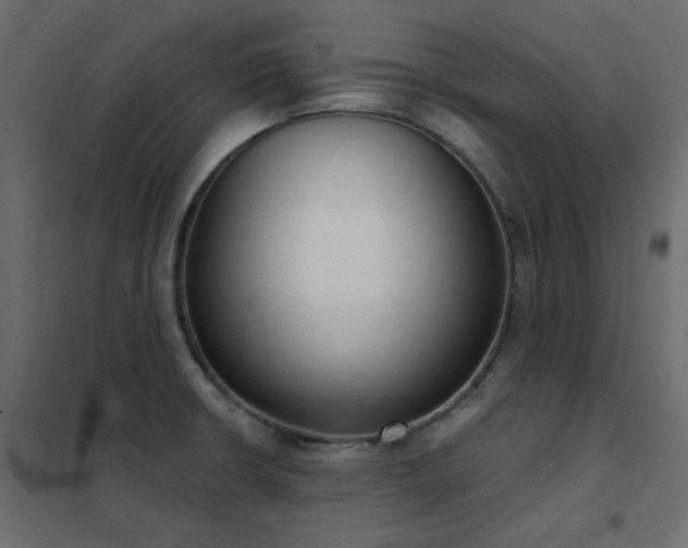 X0000102531426200808081440