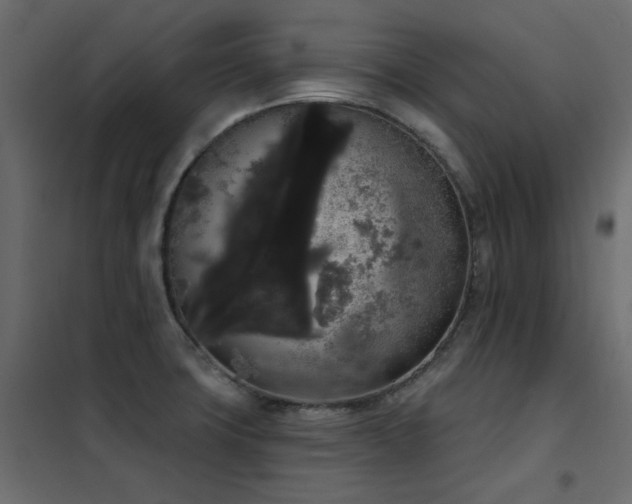 X0000102531427200808081440