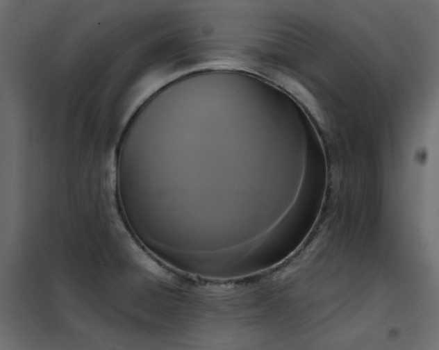 X0000102531428200808081440