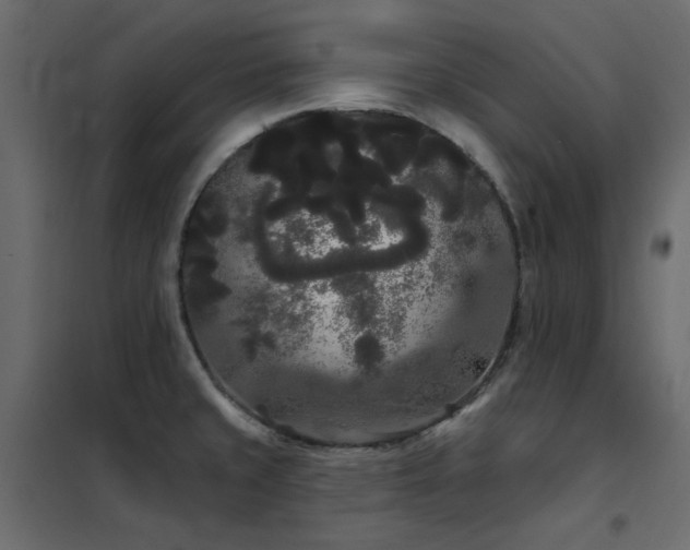 X0000102531429200808081440