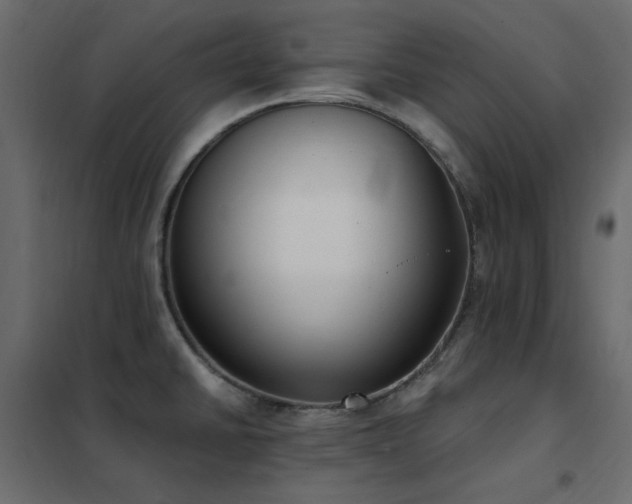 X0000102531430200808081440