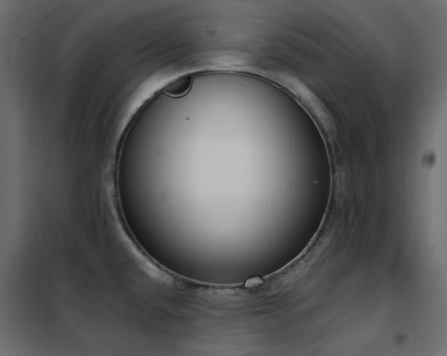 X0000102531432200808081440
