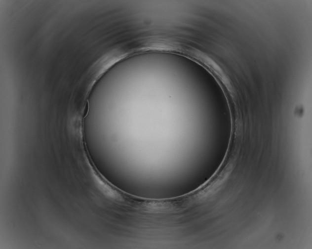 X0000102531433200808081440