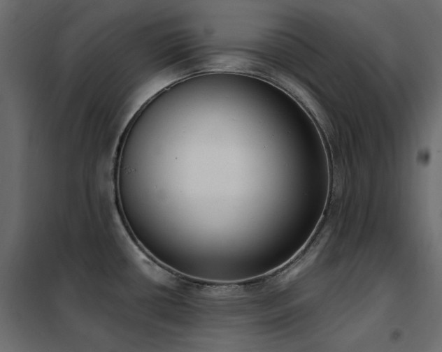 X0000102531434200808081440
