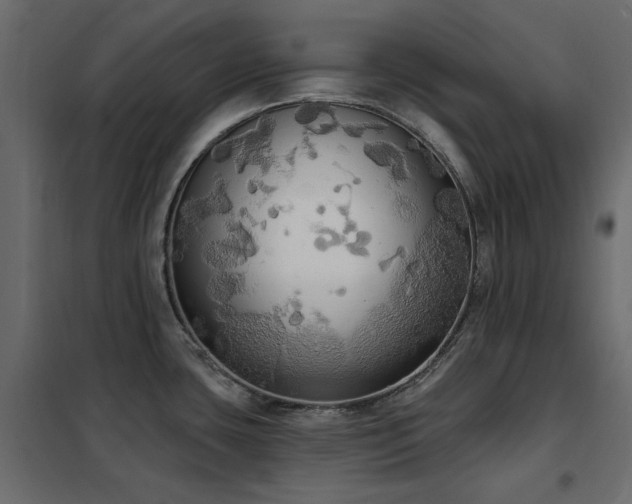 X0000102531435200808081440