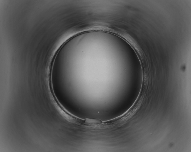 X0000102531438200808081441