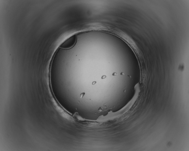 X0000102531439200808081441